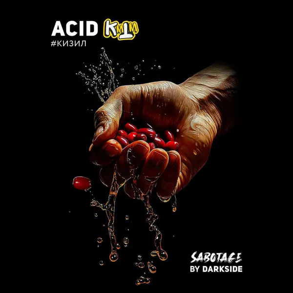 Darkside Sabotage · Acid