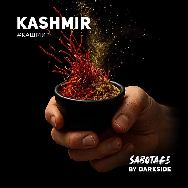 Darkside Sabotage · Kashmir