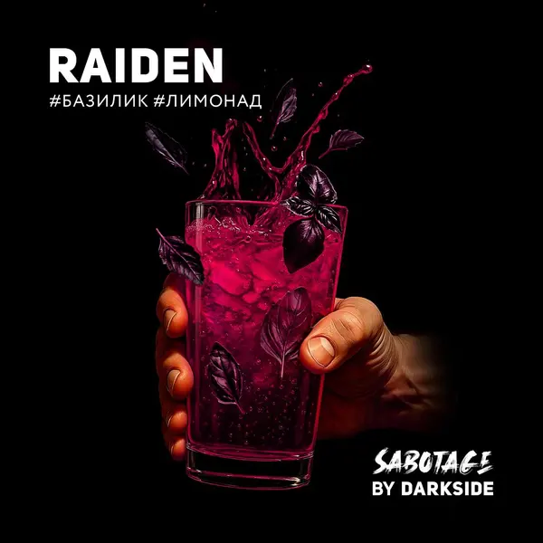 Darkside Sabotage · Raiden