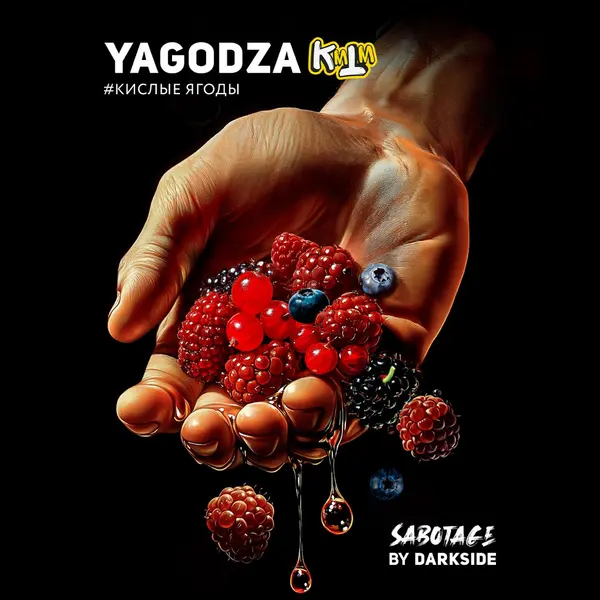 Darkside Sabotage · Yagodza