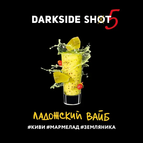 Darkside Shot · Ладожский Вайб