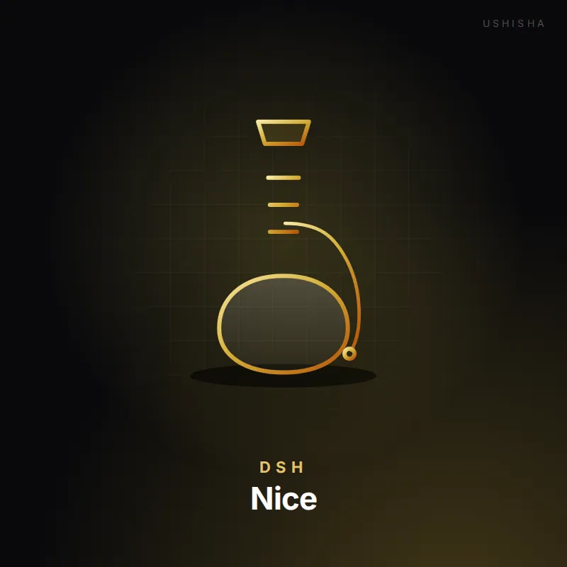 DSH Nice