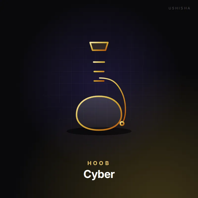 Hoob Cyber