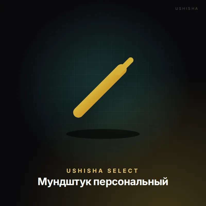 Мундштук персональный