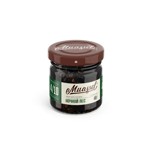 Muassel 4/10 · Ночной Лес