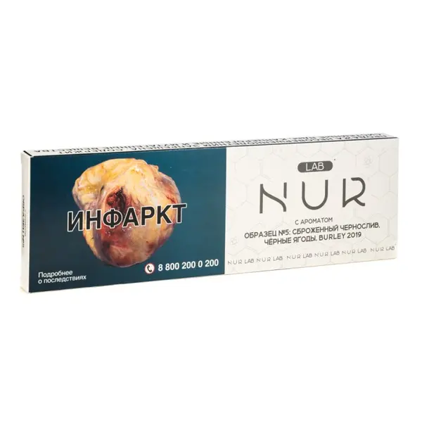 NUR LAB Образец 5 · Чернослив Чёрные Ягоды