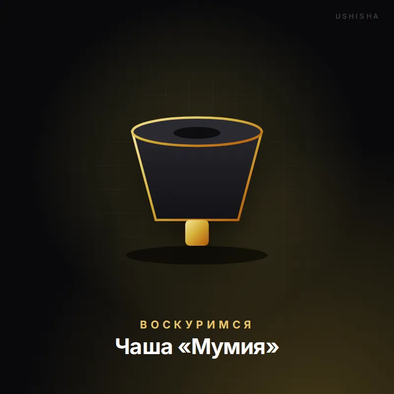 Воскуримся Чаша «Мумия»
